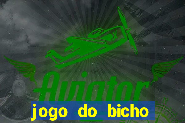 jogo do bicho crash bingo